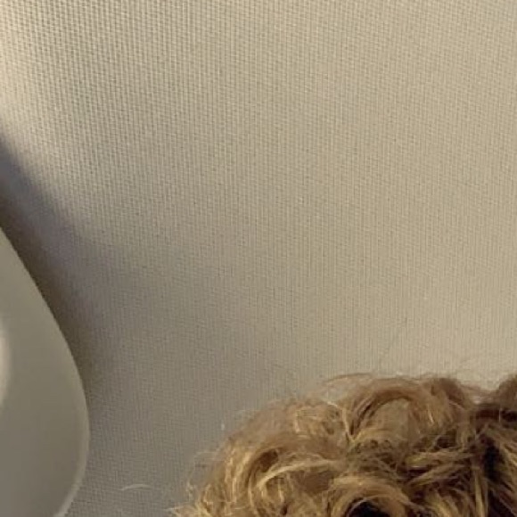 Meet your Posher, Adler - Picture 1 of 1